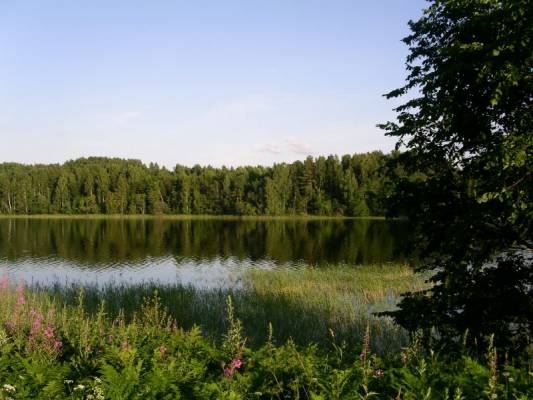 Бросно Бросно