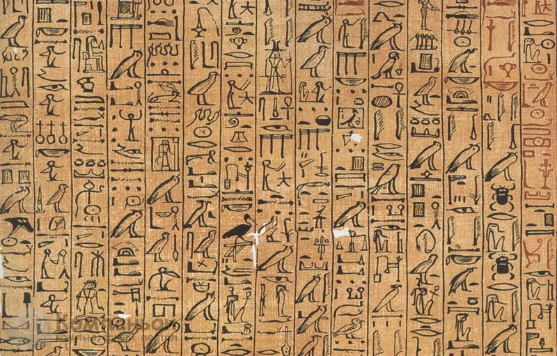 Эволюция носителей информации - Египетский папирус
