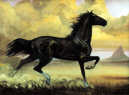 К чему снится черный конь?