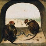 Две цепные обезьянки